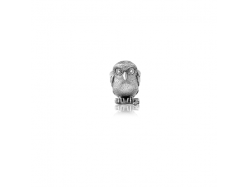 Evolve Stg Morepork Charm Bead image