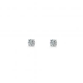 Ellani Stg CZ 4mm Earrings image