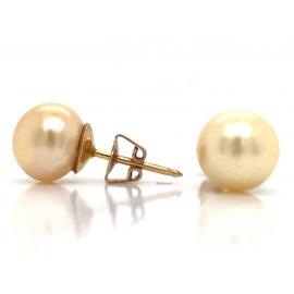 18ct Akoya Pearl Stud Earrings image